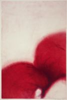 Virge Jõekalda "Õrnad õied"